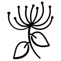 fleur (12) fleur (12)